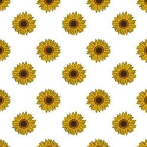 Ditzy sunflower