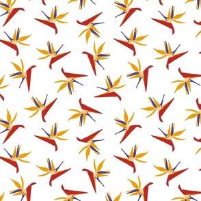 bird of paradise mini scattered