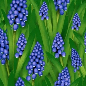 A solid pattern of hyacinths muscari. Primroses Set.