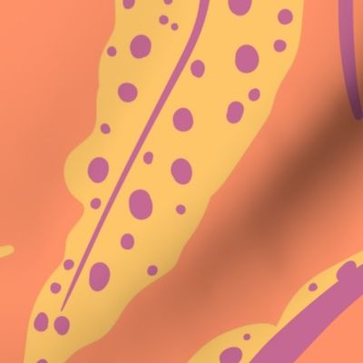 Polka-dots Begonia Maculata L - Apricot and purple