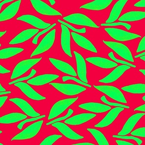 Laurel sprig, Green leaves on a red background