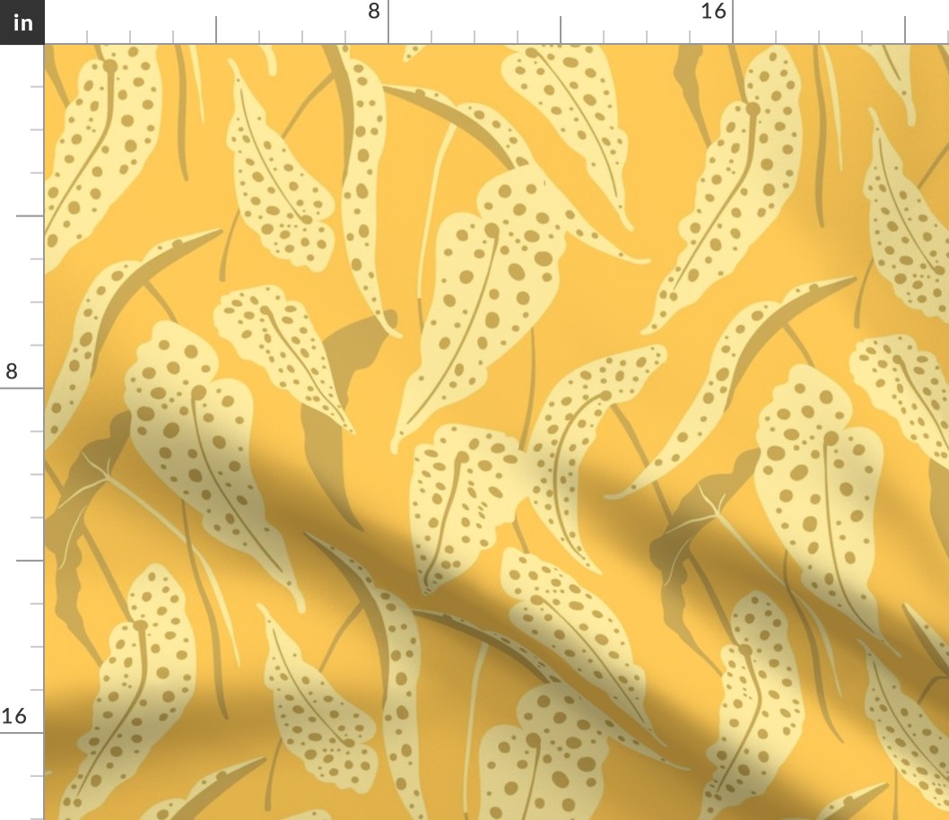 Polka-dots Begonia Maculata - Yellow