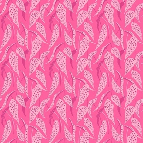 Polka-dots Begonia Maculata S - Hot Pink