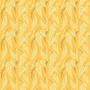 Polka-dots Begonia Maculata S - Yellow