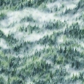 Watercolor Winter Misty Forest - Small Scale - PNW Evergreen Pine Trees Fog Foggy