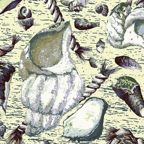 Seashells and Rope