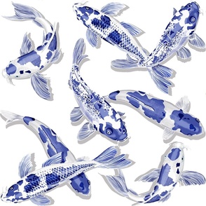 Blue and white Koi fish with shadow