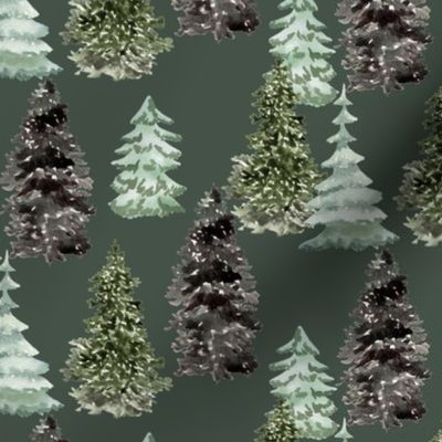 Winter Trees // Boho Forest