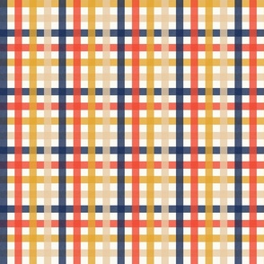 retro colorful gingham plaid