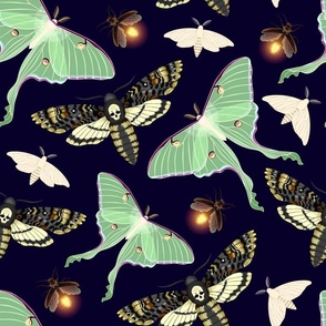Eerie Luna Moths White Moth Death Head Hawk Moth Fireflies on a Moonless Night