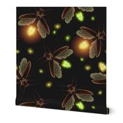 Illuminated Fireflies on a Moonless Night Animals Insect Firefly 