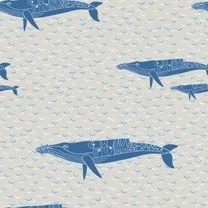 Whales migrating Sand