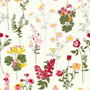 Loose wild flowers on an off white textured background