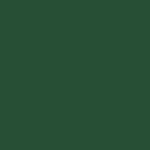 Evergreen Solid Coordinate // Dark Green pure Color // Plain Forest Green