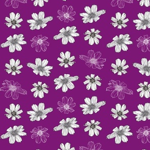 Cosmos flowers minimal on Magenta -Med Scale barbiecore trend