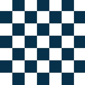 Checkerboard in navy blue