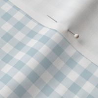 Peaceful Blue Gingham Plaid / Small