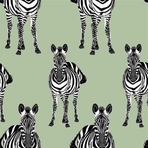 Zebra Light Green