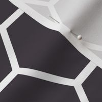 Hexagon L Charcoal 69BEEEDB-B0DD-4ACD-B25B-2865E3B4B0D3