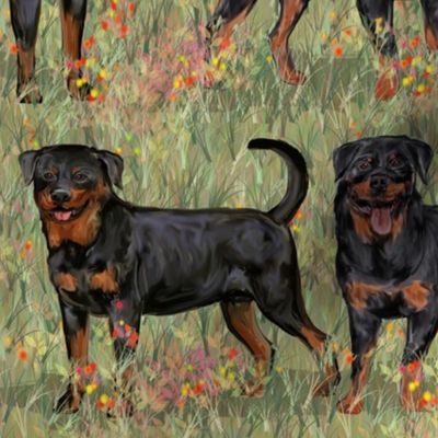 Two Rottweilers with Natural Tails in Wildflower Field