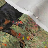 Two Rottweilers with Natural Tails in Wildflower Field