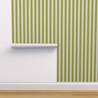 CITRON STRIPE 1 INCH