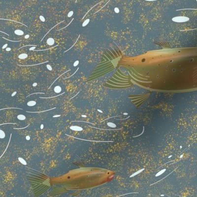 Cutthrout Trout on Grey and Gold Wallpaper