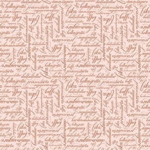 Mini Hand lettering of Fika Pastries in Swedish  in Brown with a Blush Pink Background