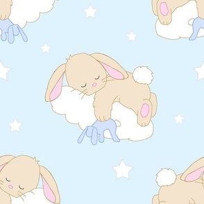 Sleeping Bunny Cloud Baby Boy - Small