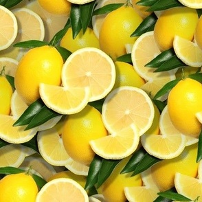 Freshly picked Lemons 