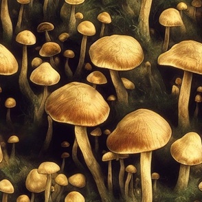 Vintage Mushies