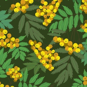 Yellow and Green Berries Leaves