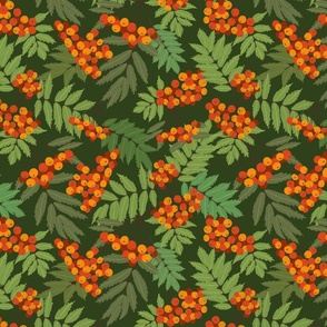 Rowanberry Orange Green Midscale