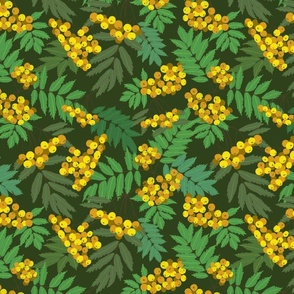 Yellow and Green Berries Leaves midscale