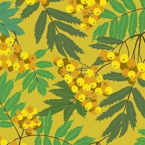 Yellow Berries Green Leaves midscale