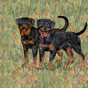 Two Rottweilers with Natural Tails on Wildflower Field For Pillow