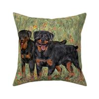Two Rottweilers with Docked Tails on Wildflower Field For Pillow