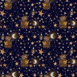 Fireflies Bears  And Mystic Shining Nighttime Moon And Stars