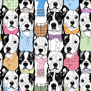 Well Dressed Dogs Comic Style (multicolor)