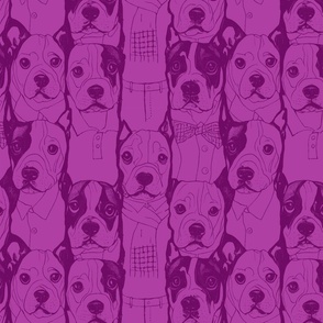 Well Dressed DogsWell Dressed Dogs Comic Style (purple)