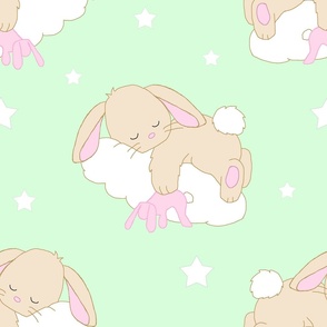 Mint Green Bunny Cloud Baby Girl - Large 