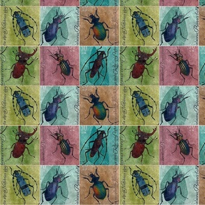 Polish Postage Insects