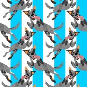 PREORDER - Rainbow Heelers - Main - Blue - REGULAR SCALE – Oh So Pretty  Custom Fabric