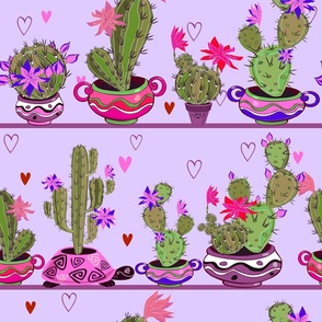 Cute Flowering Cactus Varieties Potted Dish Indoor Window Garden Pink Purple