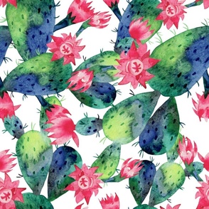 Artistic Watercolor Hand Painted Prickly Pear Cactus Flower Cacti 