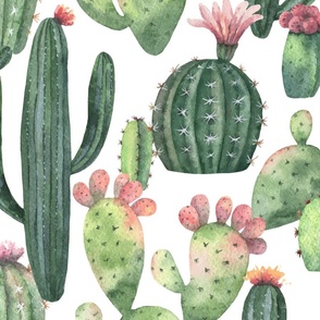 Artistic Watercolor Hand Painted Cacti Blooming Prickly Pear Saguaro Cactus