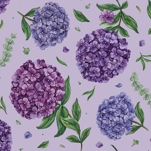 Hydrangeas on a lilac background