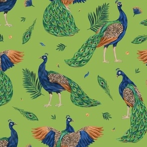 Peacocks on green background