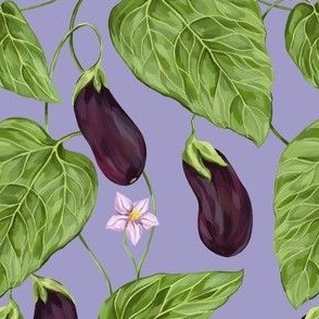 Blooming eggplant on a lilac background