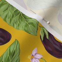 Blooming eggplant on a yellow background